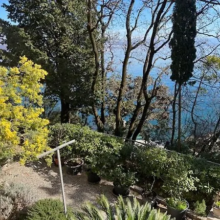 Design Camellia Opatija