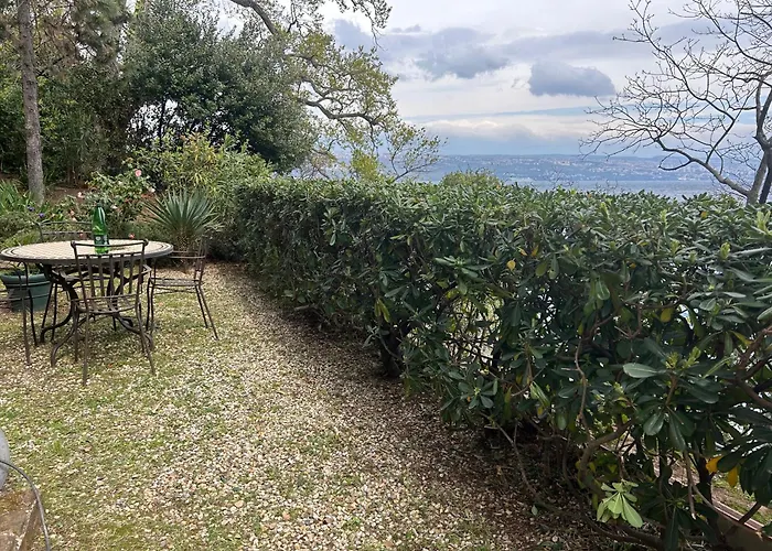 Design Camellia * Опатия