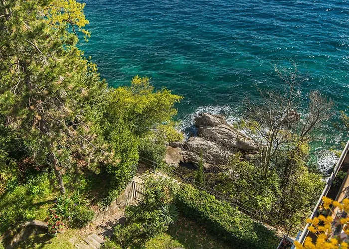 Design Camellia Lejlighed *